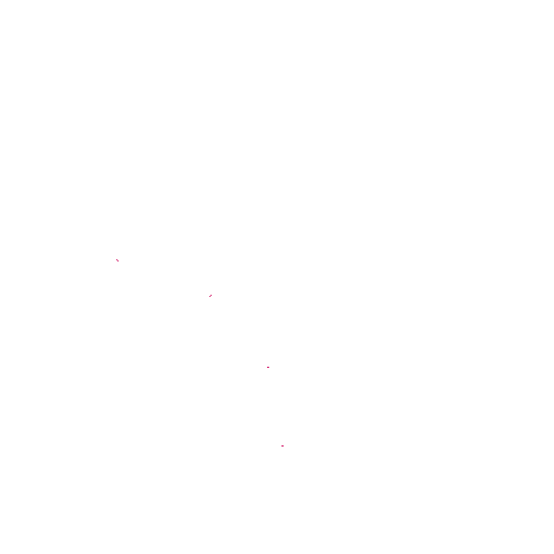 Appenzellerin Spark